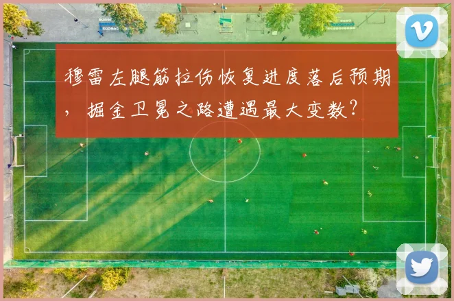 穆雷左腿筋拉伤恢复进度落后预期,掘金卫冕之路遭遇最大变数?